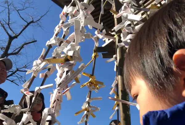 小国両神社の写真・動画_image_425646