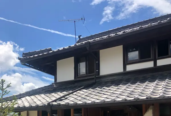 オニバ！の写真・動画_image_425673