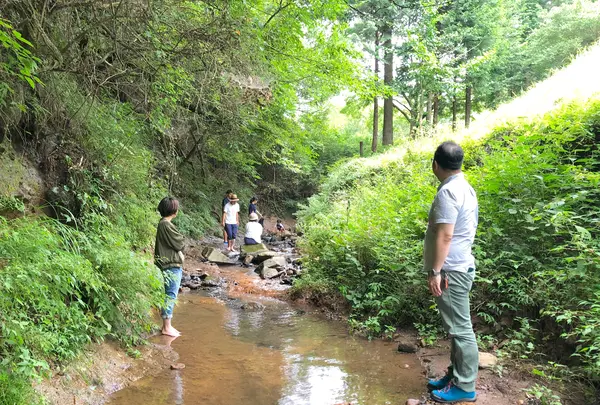 ファミリーキャンプ場いもんころの写真・動画_image_425691