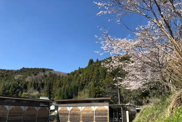 ゆけむり茶屋の写真・動画_image_425741