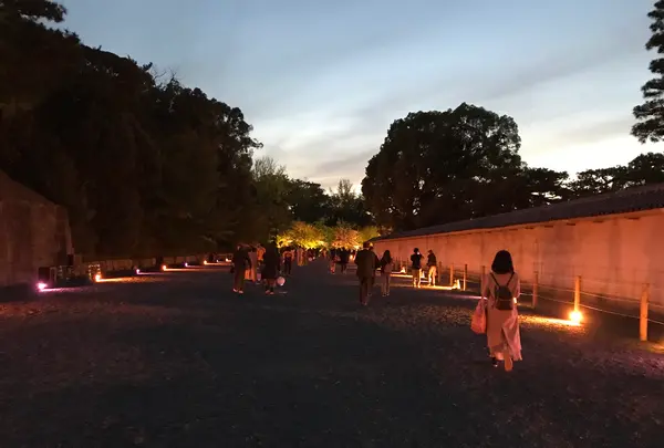 元離宮 二条城の写真・動画_image_425785