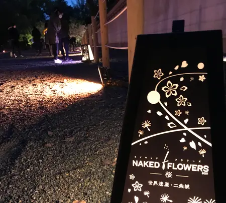 元離宮 二条城の写真・動画_image_425787