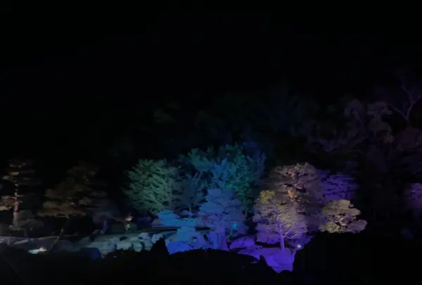 元離宮 二条城の写真・動画_image_425790