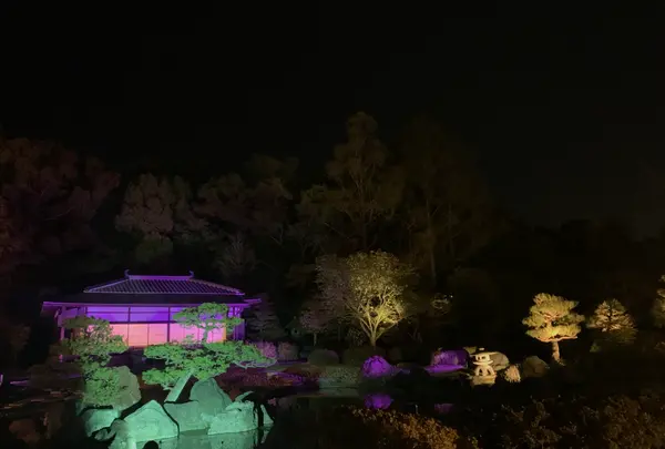 元離宮 二条城の写真・動画_image_425791