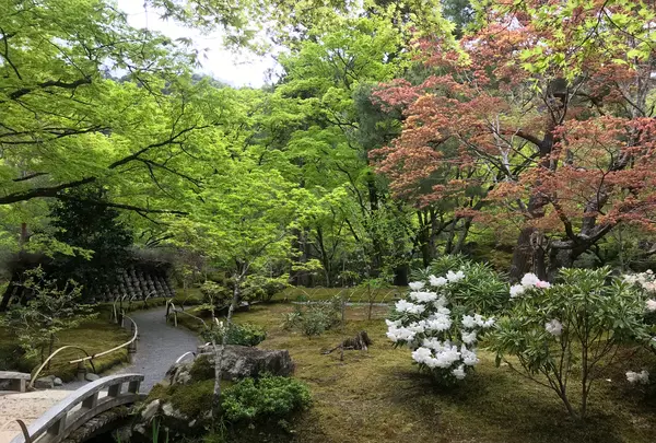 宝厳院の写真・動画_image_425844