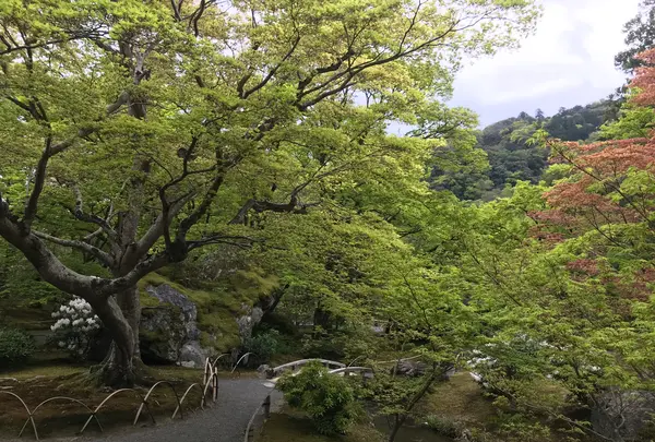 宝厳院の写真・動画_image_425846