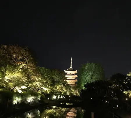 東寺（教王護国寺）の写真・動画_image_425857