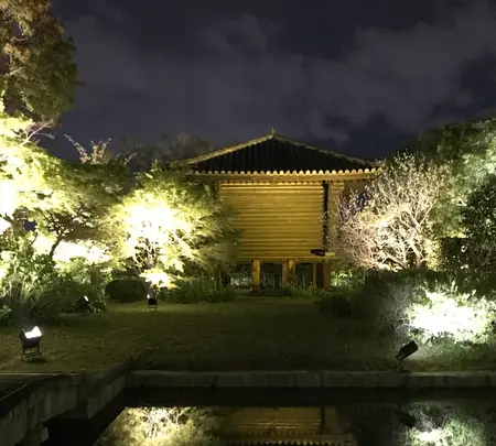 東寺（教王護国寺）の写真・動画_image_425858