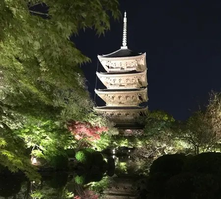 東寺（教王護国寺）の写真・動画_image_425859