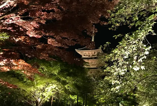 東寺（教王護国寺）の写真・動画_image_425861