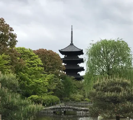 東寺（教王護国寺）の写真・動画_image_425862