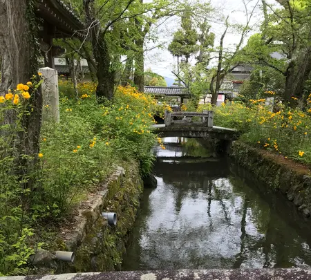 松尾大社の写真・動画_image_425870