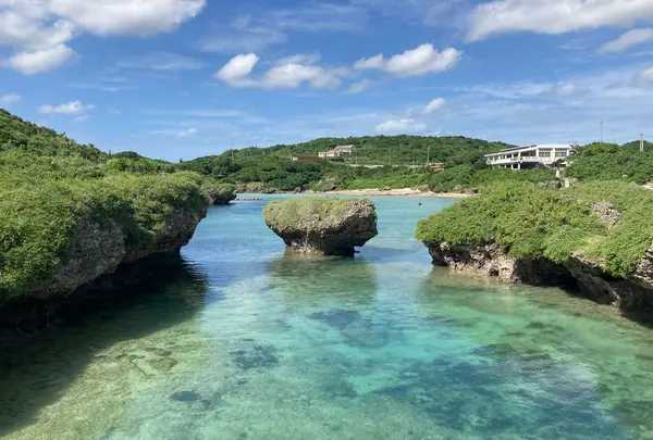 イムギャーマリンガーデンの写真・動画_image_425904