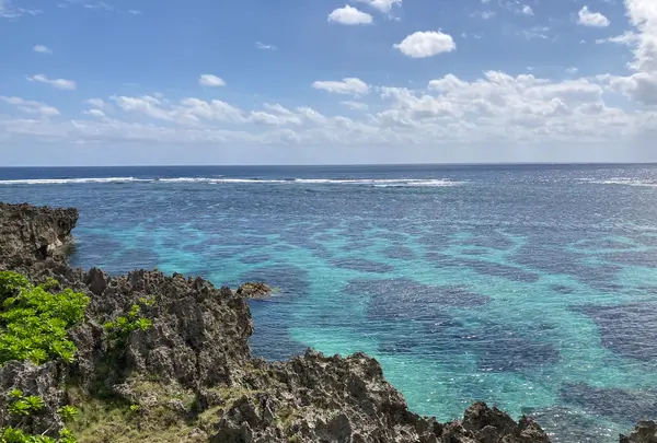 イムギャーマリンガーデンの写真・動画_image_425905