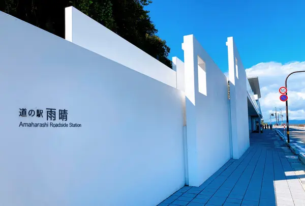 国定公園 雨晴海岸の写真・動画_image_425995