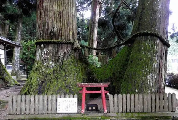 室生龍穴神社の写真・動画_image_426026