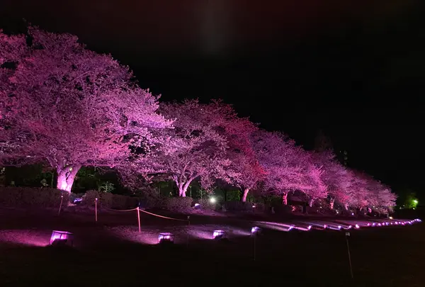 ラ・ロカンダ デル ピットーレ環水公園の写真・動画_image_426036