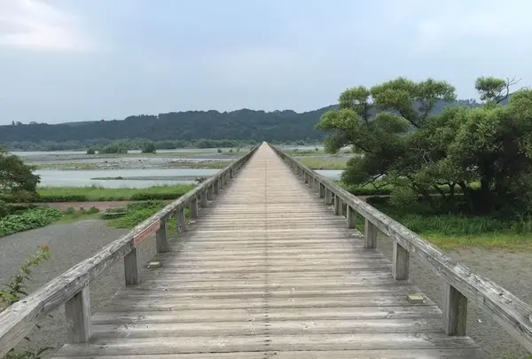 蓬莱橋の写真・動画_image_426065