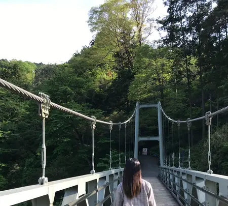 楓橋の写真・動画_image_426103