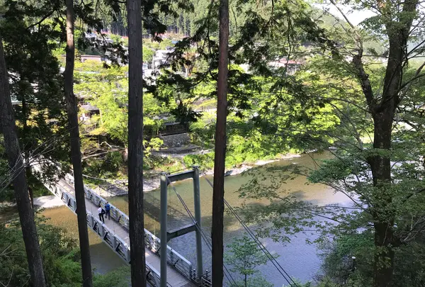 楓橋の写真・動画_image_426105
