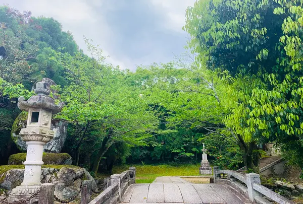 法輪寺の写真・動画_image_426174