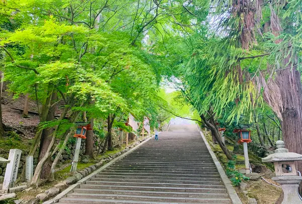 法輪寺の写真・動画_image_426175