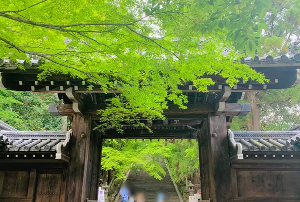 法輪寺の写真・動画_image_426176