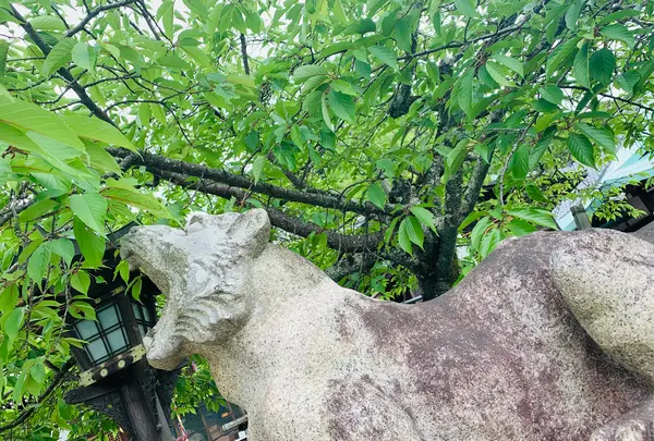 法輪寺の写真・動画_image_426178