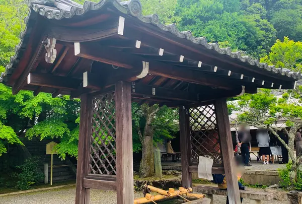 法輪寺の写真・動画_image_426179