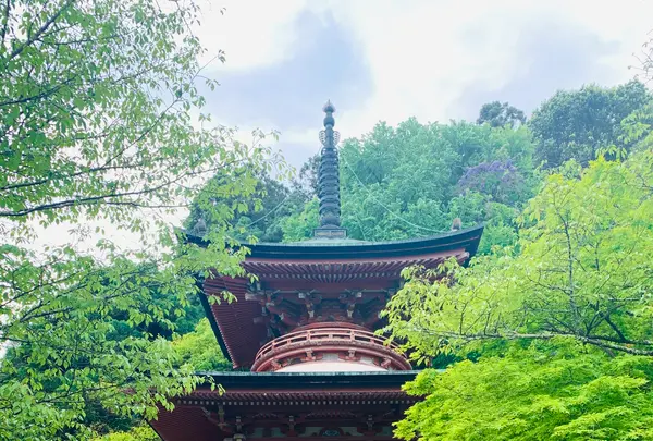 法輪寺の写真・動画_image_426183