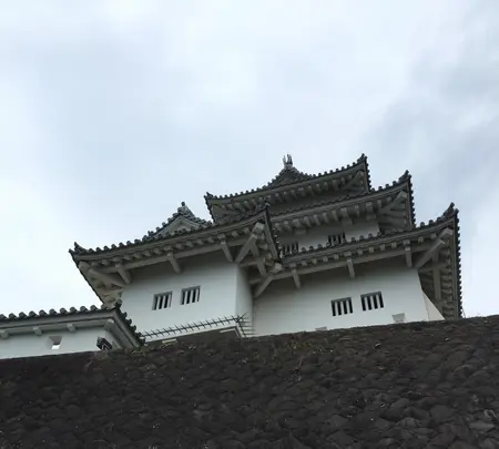 掛川城の写真・動画_image_426190