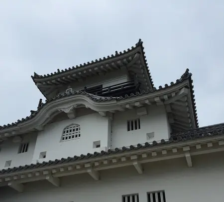 掛川城の写真・動画_image_426191