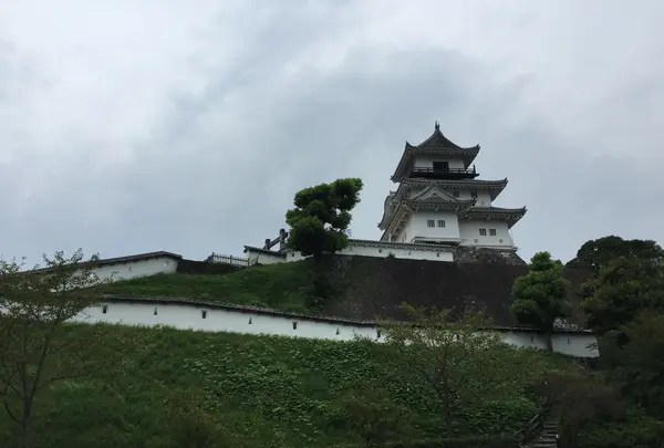 掛川城の写真・動画_image_426192