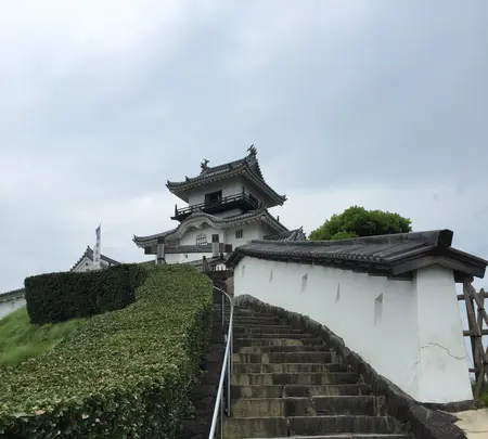 掛川城の写真・動画_image_426193