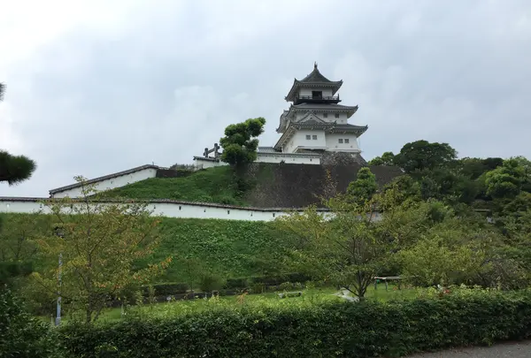 掛川城の写真・動画_image_426194