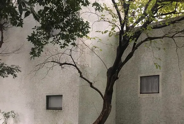 【閉業】原美術館の写真・動画_image_426257