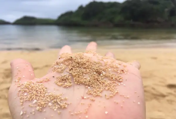 星砂の浜の写真・動画_image_426585