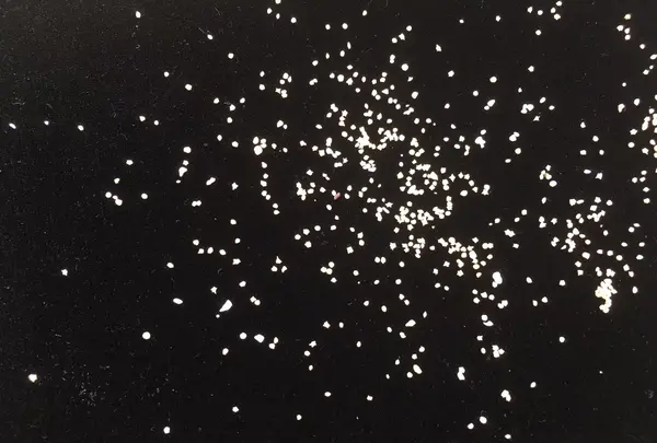 星砂の浜の写真・動画_image_426586
