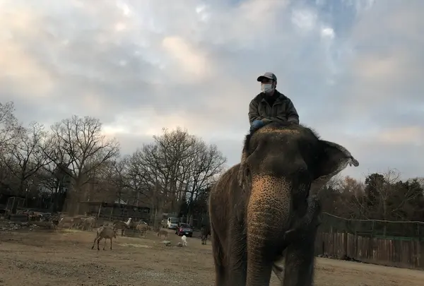 那須サファリパークの写真・動画_image_426620