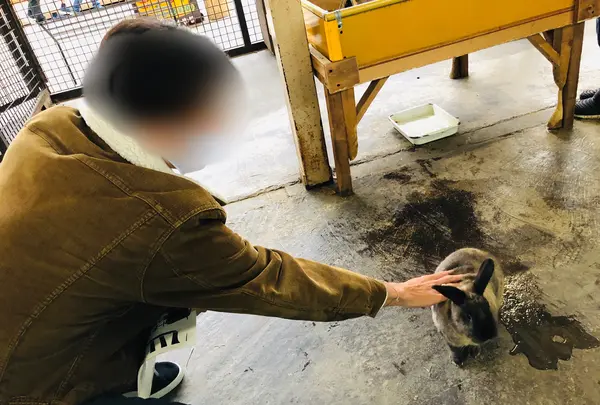 那須サファリパークの写真・動画_image_426623