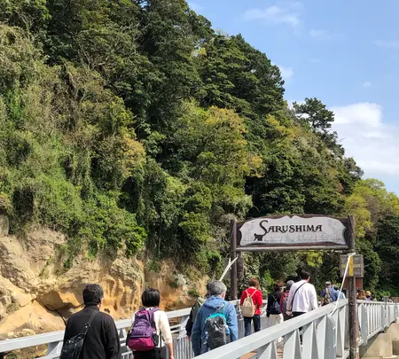 猿島航路の写真・動画_image_427010