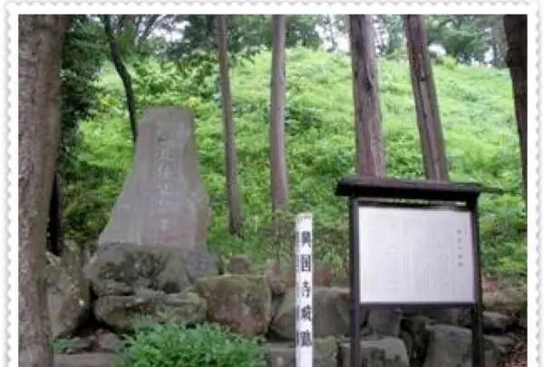 興国寺城跡の写真・動画_image_427036