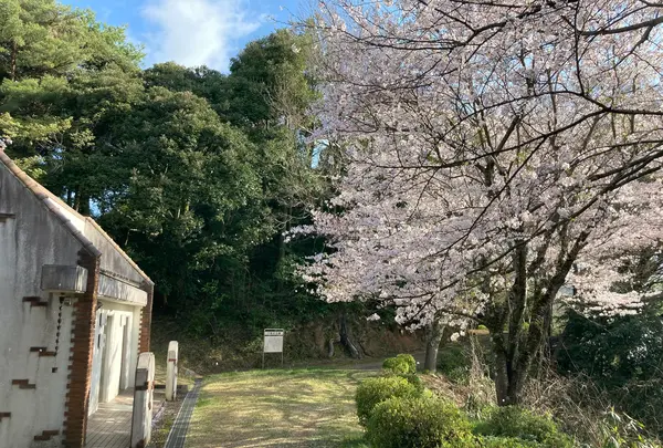 夕潮台公園の写真・動画_image_427429