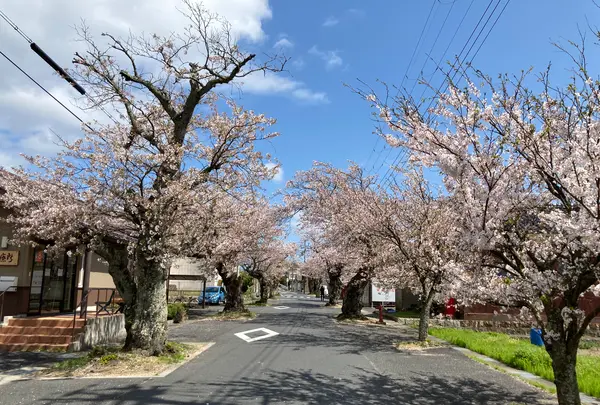 丹後由良駅の写真・動画_image_427449