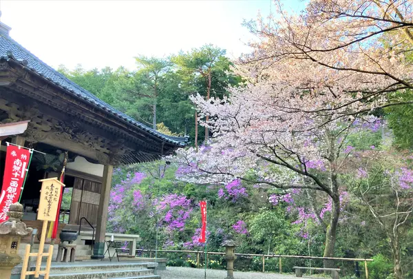 如意寺の写真・動画_image_427495