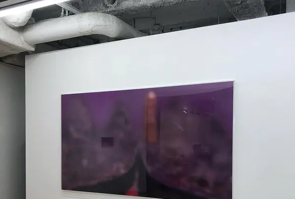 タロウナスの写真・動画_image_427522