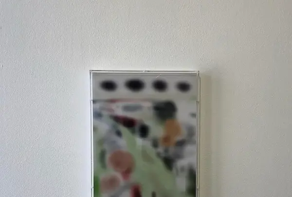 タロウナスの写真・動画_image_427523