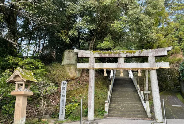 玉作湯神社の写真・動画_image_427567
