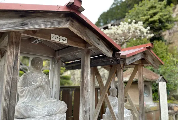 清巌寺の写真・動画_image_427568