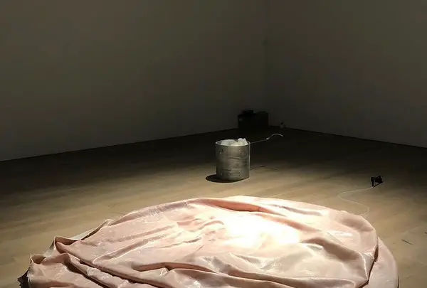 森美術館の写真・動画_image_427593
